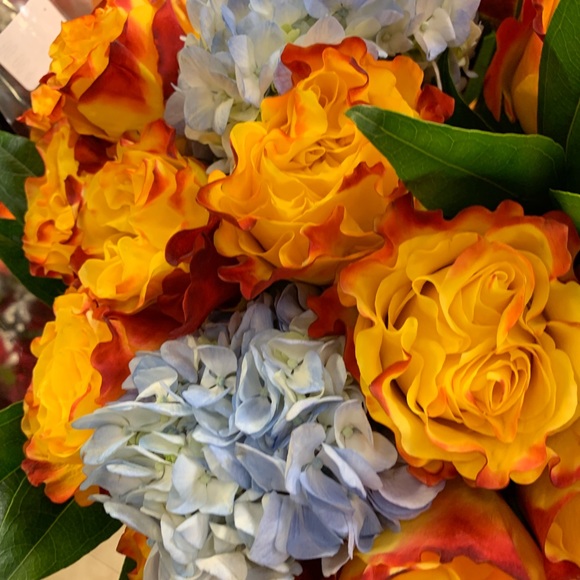 Meet your Posher, H. - Picture 1 of 1